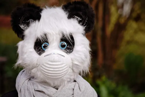 Pronto Casino Ënnerstëtzung